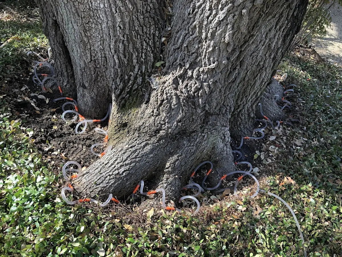 Detailed Shrub and Hedge Trimming job site in Hoffman